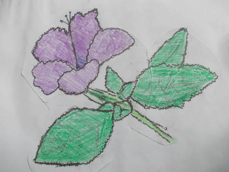 purple flower :p