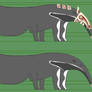 Tamandua Anteater model sheet