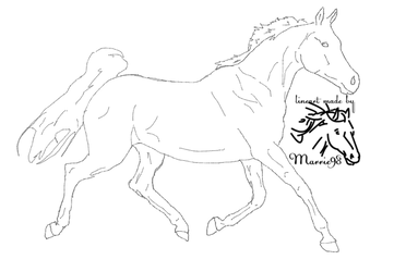 Line Art Horse