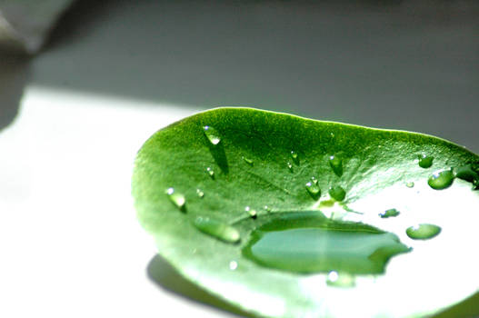 waterdrop