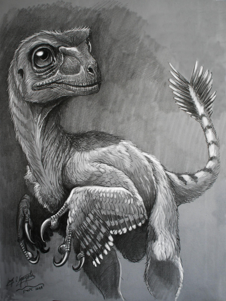 raptor by Gonzalezaurus on DeviantArt