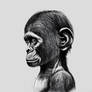 bebe chimpance
