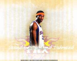 Amare 'Stat' Stoudemire