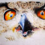 Owl II. (wip)