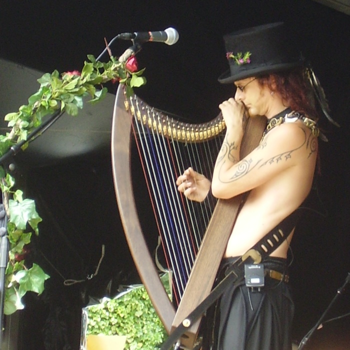 Playing the harp