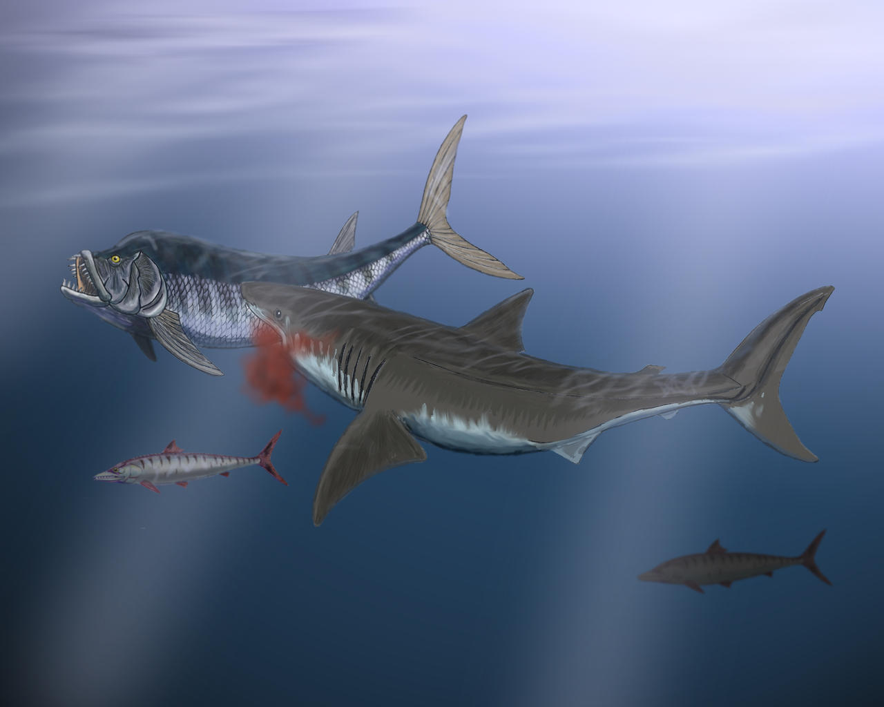 Pygocephalomorph Cretoxyrhina vs Xiphactinus (color version 1) by Paleo-reptiles on ...