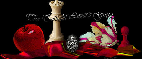 Twilight Banner