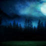 Premade Background 02 - Spooky Forest