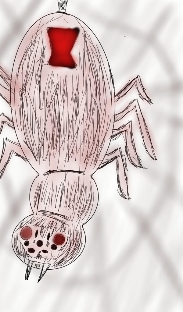 Spider Insect Deviantart SPIDER by Aristotlean on DeviantArt