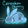 Cerenkov Bunny