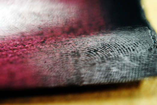 Fingerprint