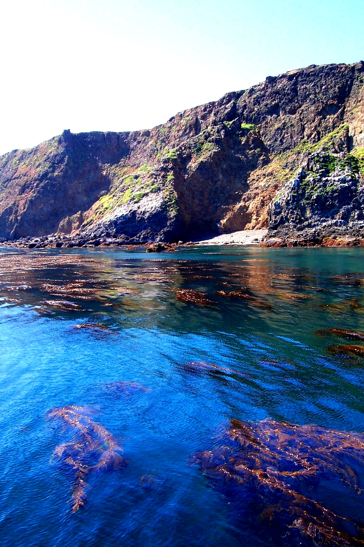 Kelp Forest :anacapa series: