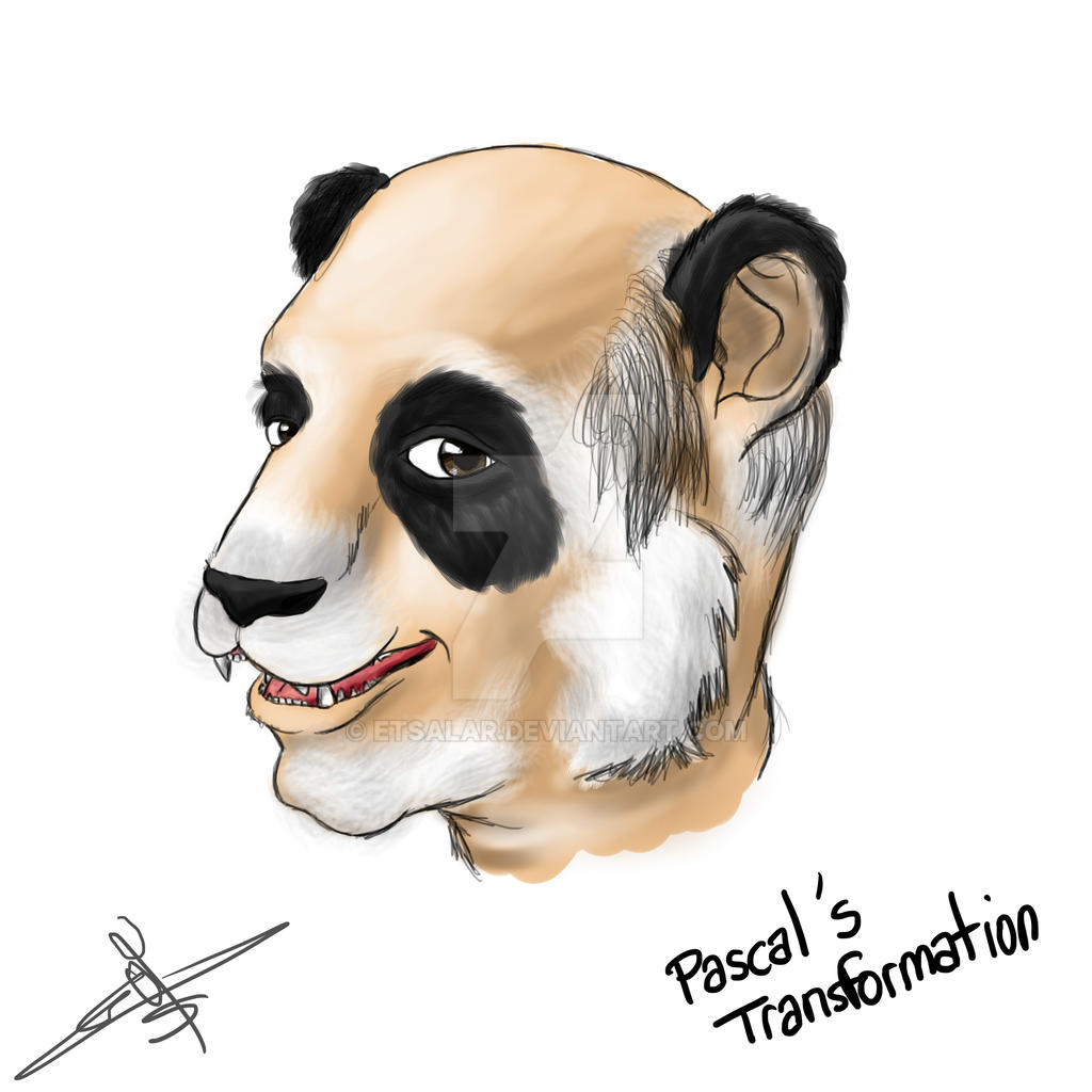 Disformed Panda Panda Transformation by Etsalar on DeviantArt