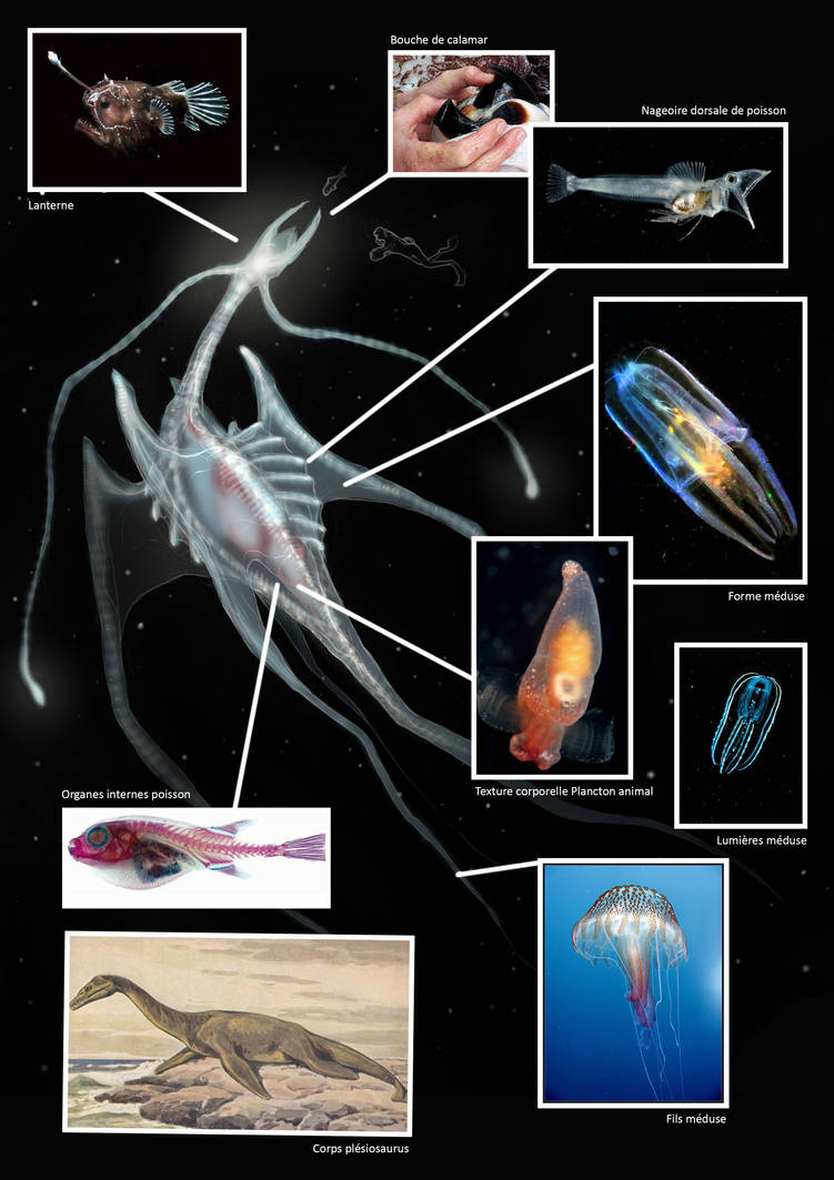 Abyssal Creature References by Etsalar on DeviantArt