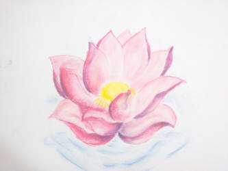 My Lotus