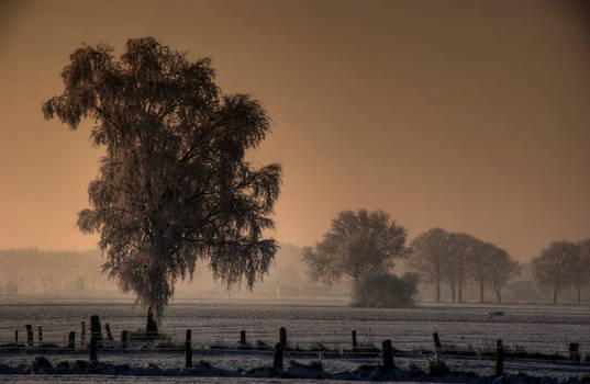 The Snow And The Sunrise