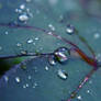 Magical Rain