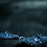 Placidity