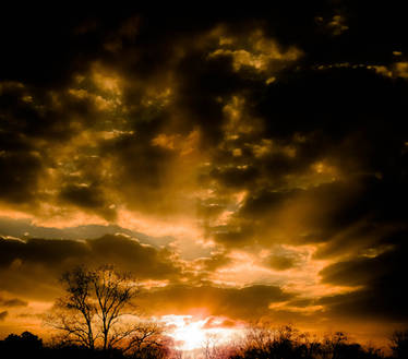 Green Sunset by Aleioz on DeviantArt