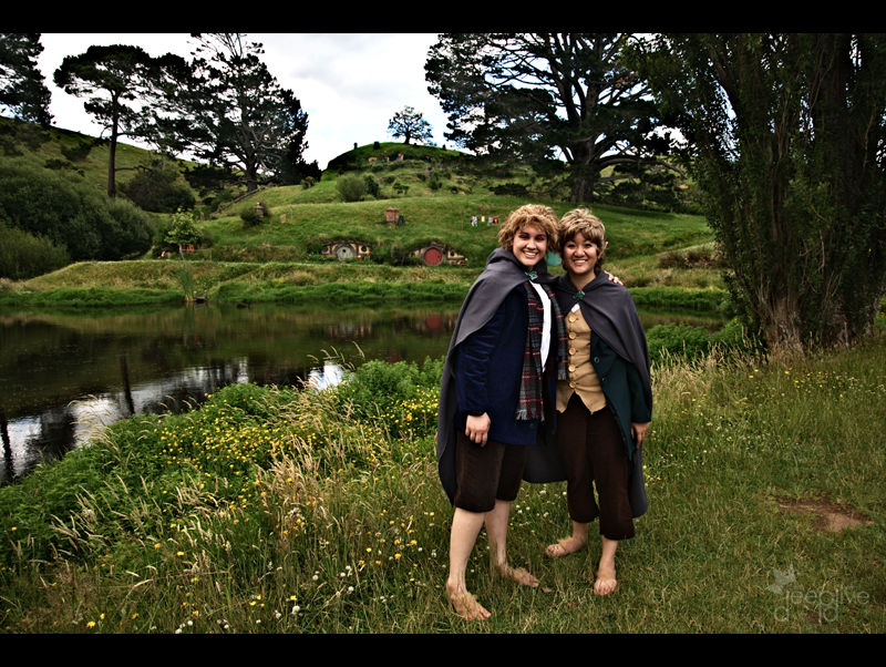 LOTR - Hobbits at The Shire