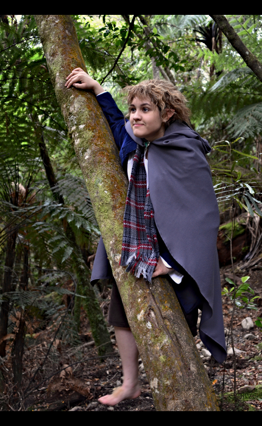 LOTR - Pippin in the Forest