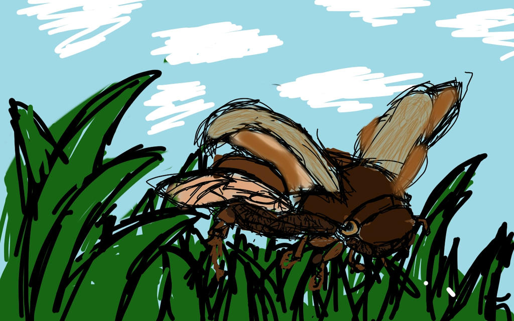 Fly Bug Deviantart FLYING INSECT by phongphilaswag on DeviantArt
