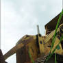 digger 01