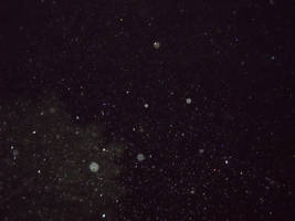 Starry Rain