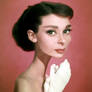 Audrey Hepburn Caricature Study