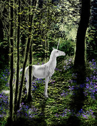 Unicorn and Bluebells