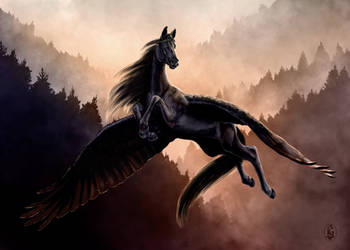 Black Pegasus