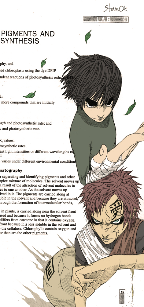 AP Bio Lab - Rock Lee vs Gaara