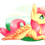 {Collab} : Fluttershy
