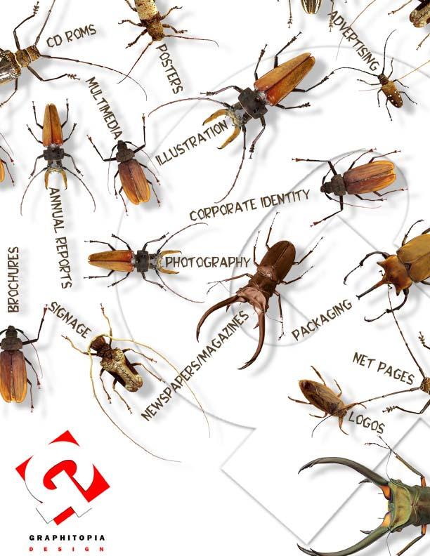 All Insects List Deviantart insects by graphitopia on DeviantArt