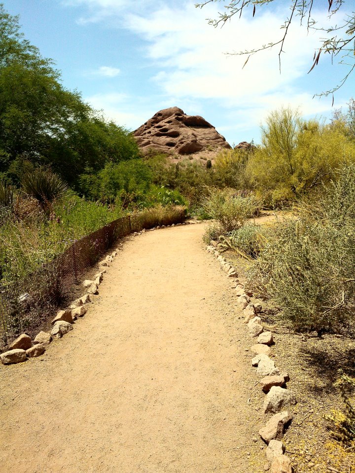 Mountain Path