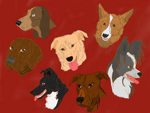 Dog breeds