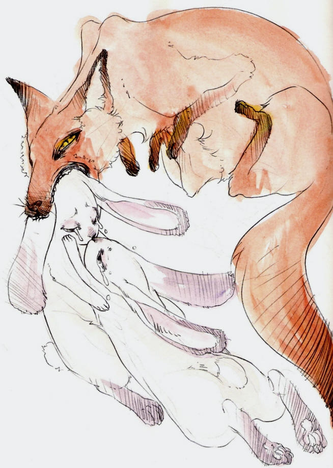 Fox Rabbit Art Fox and Rabbits by quietsecrets on DeviantArt