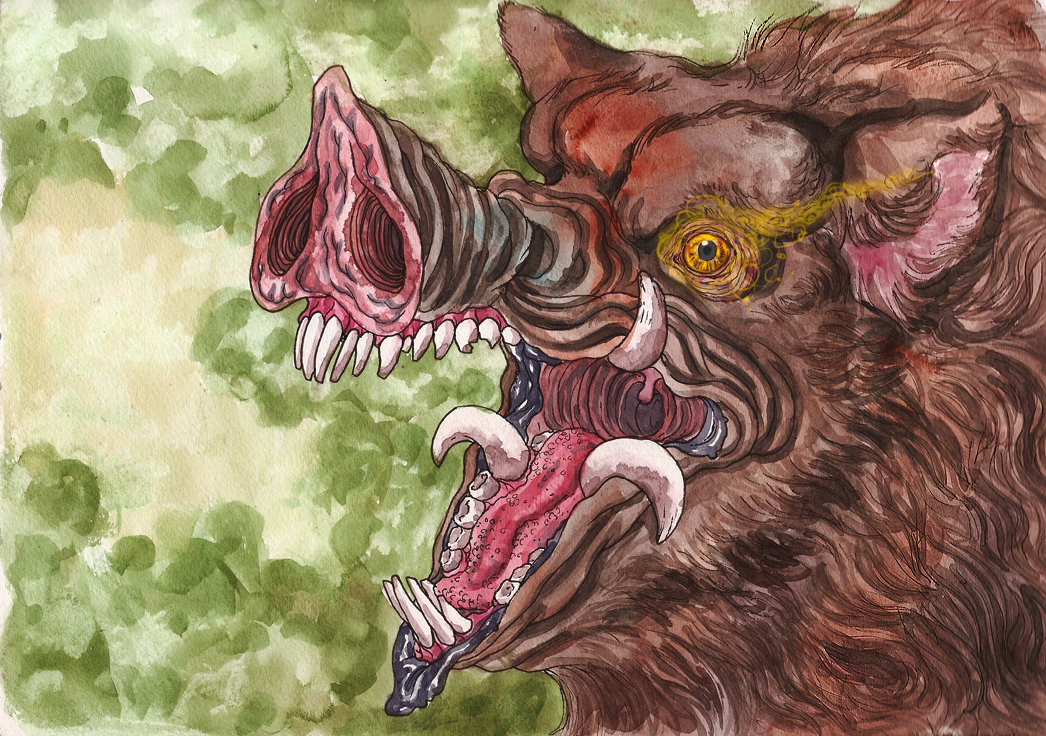 Boar Monkey Deviantart BOAR by quietsecrets on DeviantArt