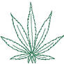 weed leaf