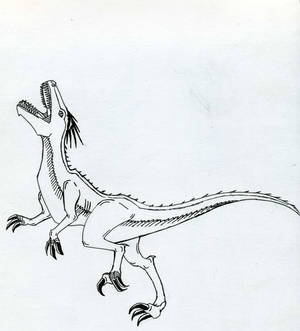 velociraptor