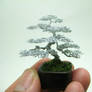 Micro Wire Bonsai tree sculpture