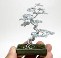 Wire bonsai tree with contorted trunk