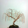 Weeping Willow Wire Bonsai Tree by Ken To