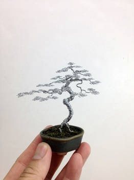 Wire bonsai tree by Ken To