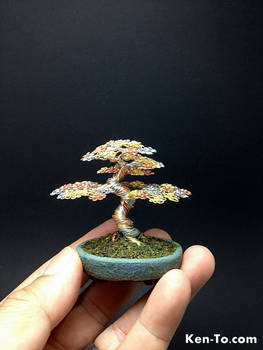 3 color wire bonsai tree sculpture by Ken To