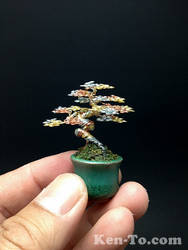 Mini 3-color wire bonsai tree sculpture by Ken To