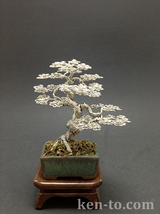 Informal upright wire bonsai tree by Ken To