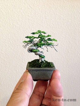 Green Wire bonsai tree by Ken To