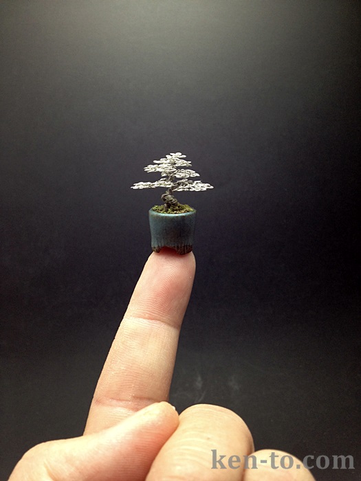 Micro wire bonsai tree sculpture by Ken To