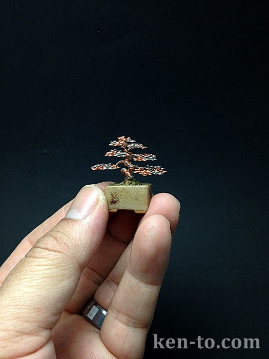 Micro wire bonsai tree sculpture by Ken To